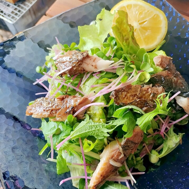 脂の乗ったにしんが美味しい♪にしんとしその魚サラダ